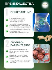 Сила феникса, Полынь в капсулах (90 капсул)