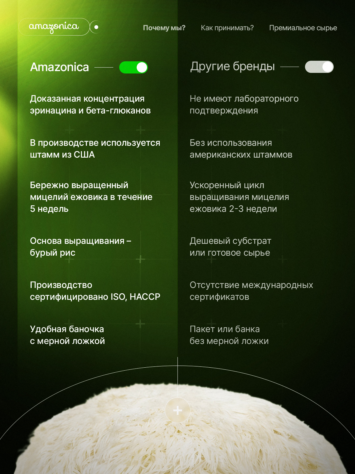 Amazonica, Lion’s Mane, Ежовик гребенчатый, порошок, 100 г