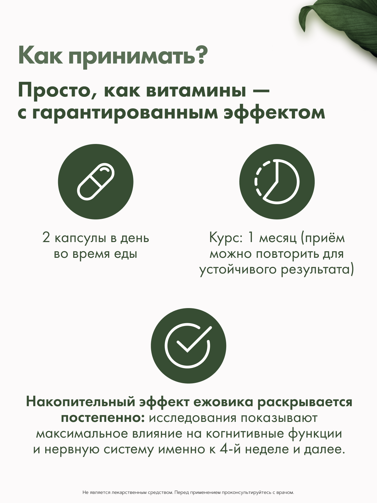 Restartbio, Ежовик гребенчатый, капсулы, 90 шт.