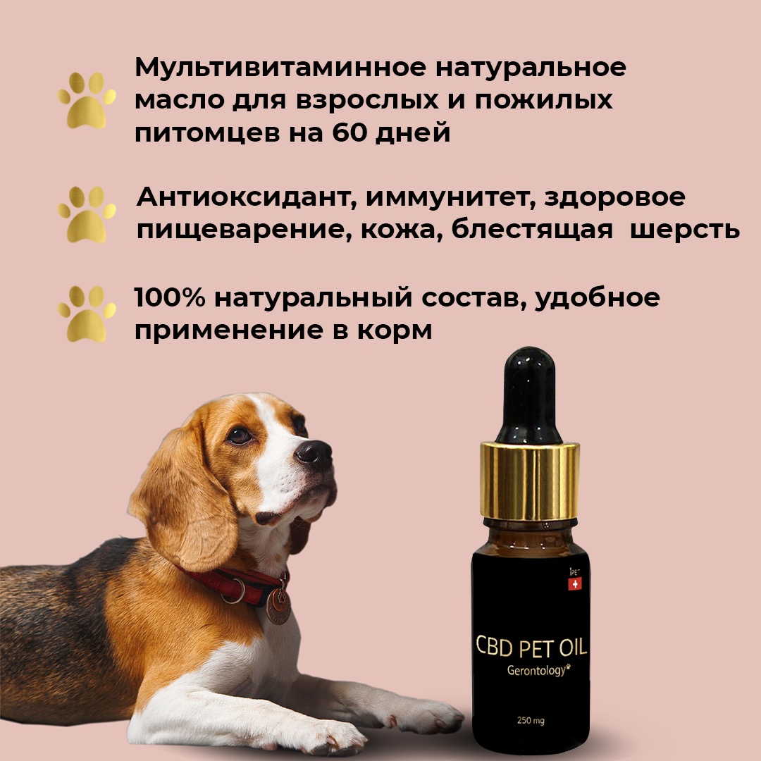 iHemp, Конопляное масло СВD Геронтология, для питомцев, жидкость, 5 мл