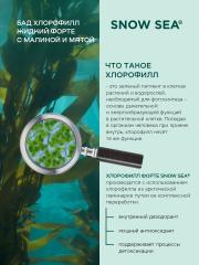 SNOW SEA®, Хлорофилл жидкий со вкусом мяты и малины (для детокса и похудения), жидкость, 450 мл