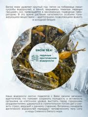 SNOW SEA®, KELP (ламинария и фукус), для молодости и долголетия, таблетки, 224 шт.