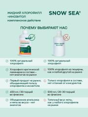 SNOW SEA®, Хлорофилл жидкий с инозитолом, со вкусом апельсина и мяты (для контроля стресса), жидкость, 450 мл