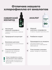 Солагифт, bioeffectives, Хлорофиллин натрия хвойный (концентрат), жидкость, 50 мл