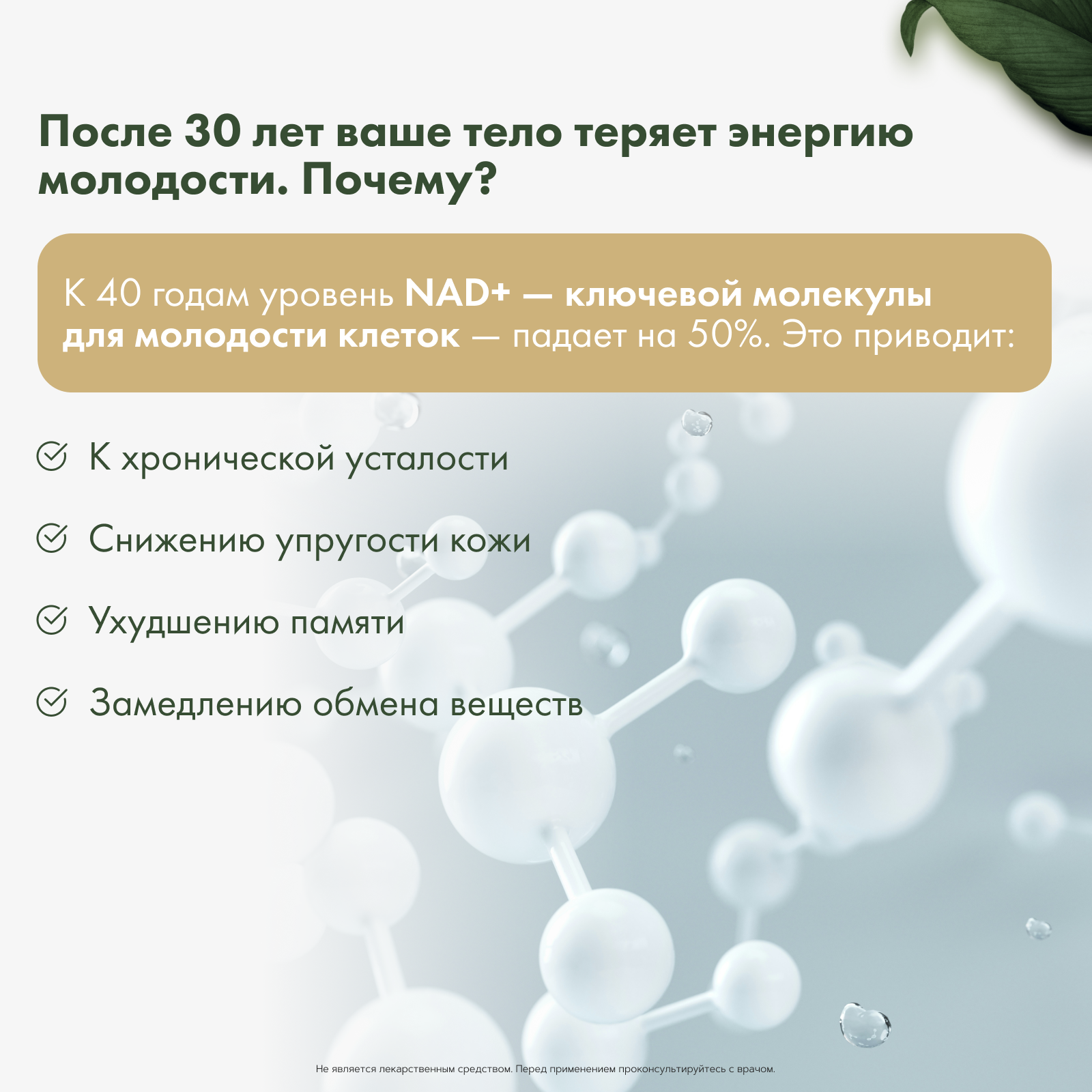 Restartbio, NMN + Q10 (продление молодости), капсулы, 60 шт.