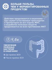 ЗОЭ, НАРИНЭ овсяный (живые Лактобактерии), 250 мл