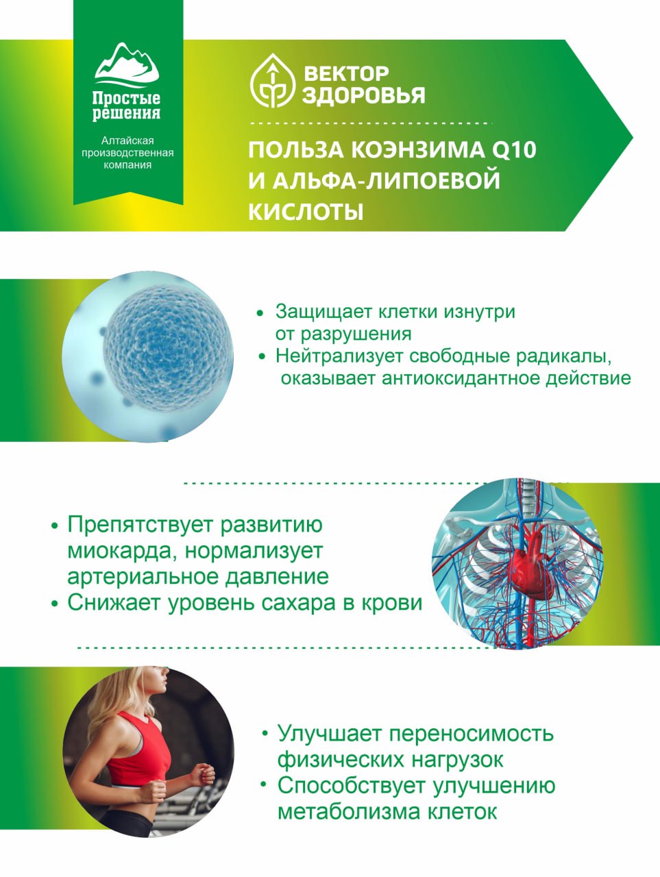 Алтай Простые решения, Комплекс Коэнзим Q10 (убихинон) + Альфа-липоевая кислота, капсулы, 60 шт.