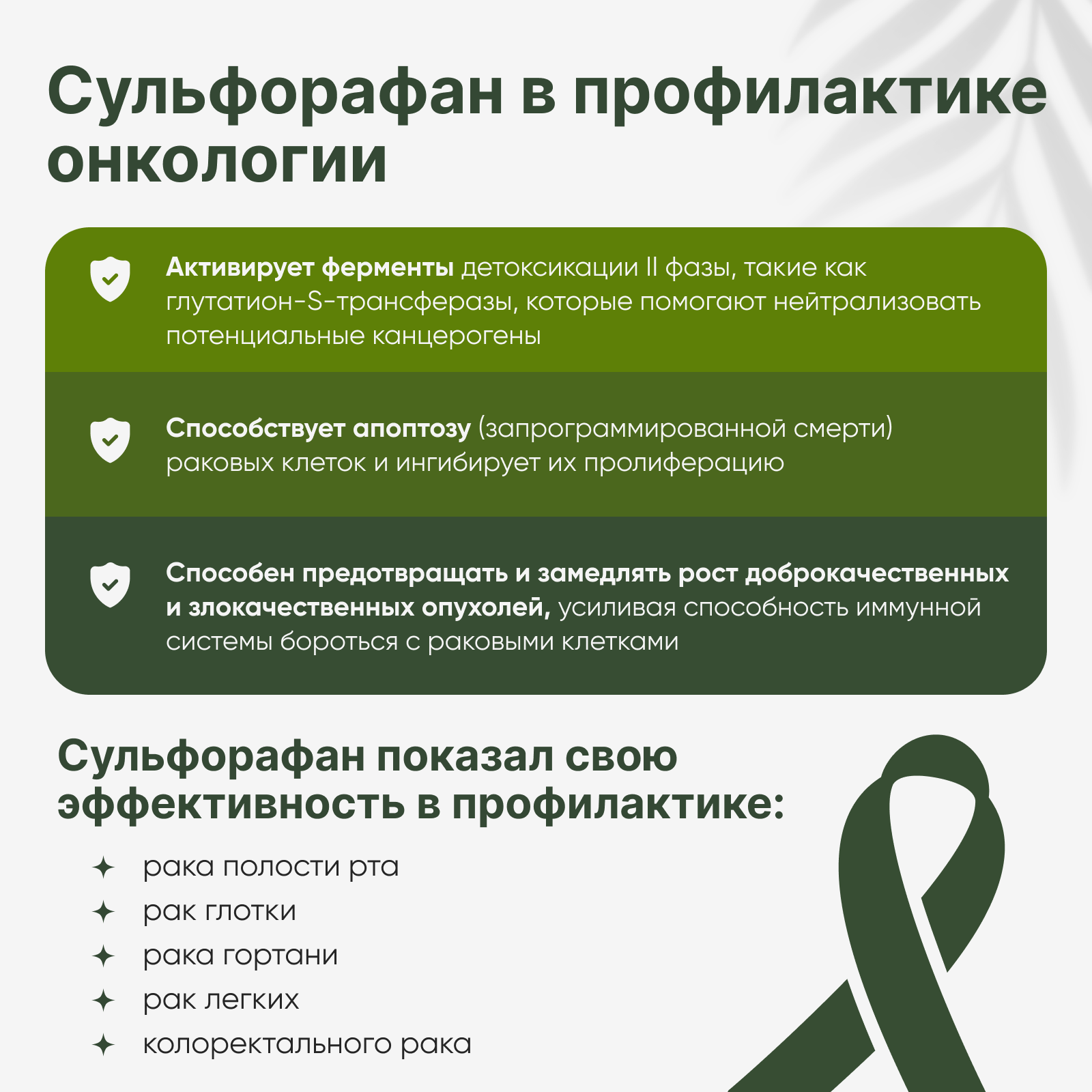 Restartbio, Порошок микрозелени брокколи органический, 90 г
