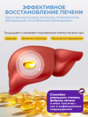 Солагифт, Bioeffectives Abieprenols 10 (для защиты печени, сердца и мозга), капсулы, 60 шт.
