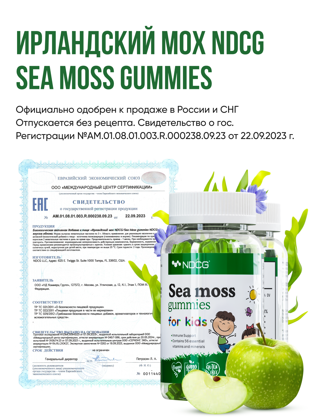 NDCG, Sea Moss for kids (ирландский мох), со вкусом яблока, жевательные конфеты, 60 шт.