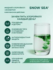 SNOW SEA®, Хлорофилл жидкий с инозитолом, со вкусом апельсина и мяты (для контроля стресса), жидкость, 450 мл