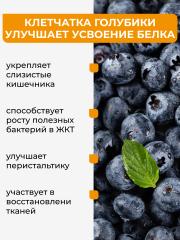 Yappi, Соевый изолят протеин с голубикой, 250 г