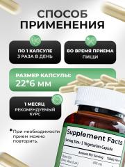 NDCG, Slippery Elm (скользкий вяз), капсулы, 100 шт.