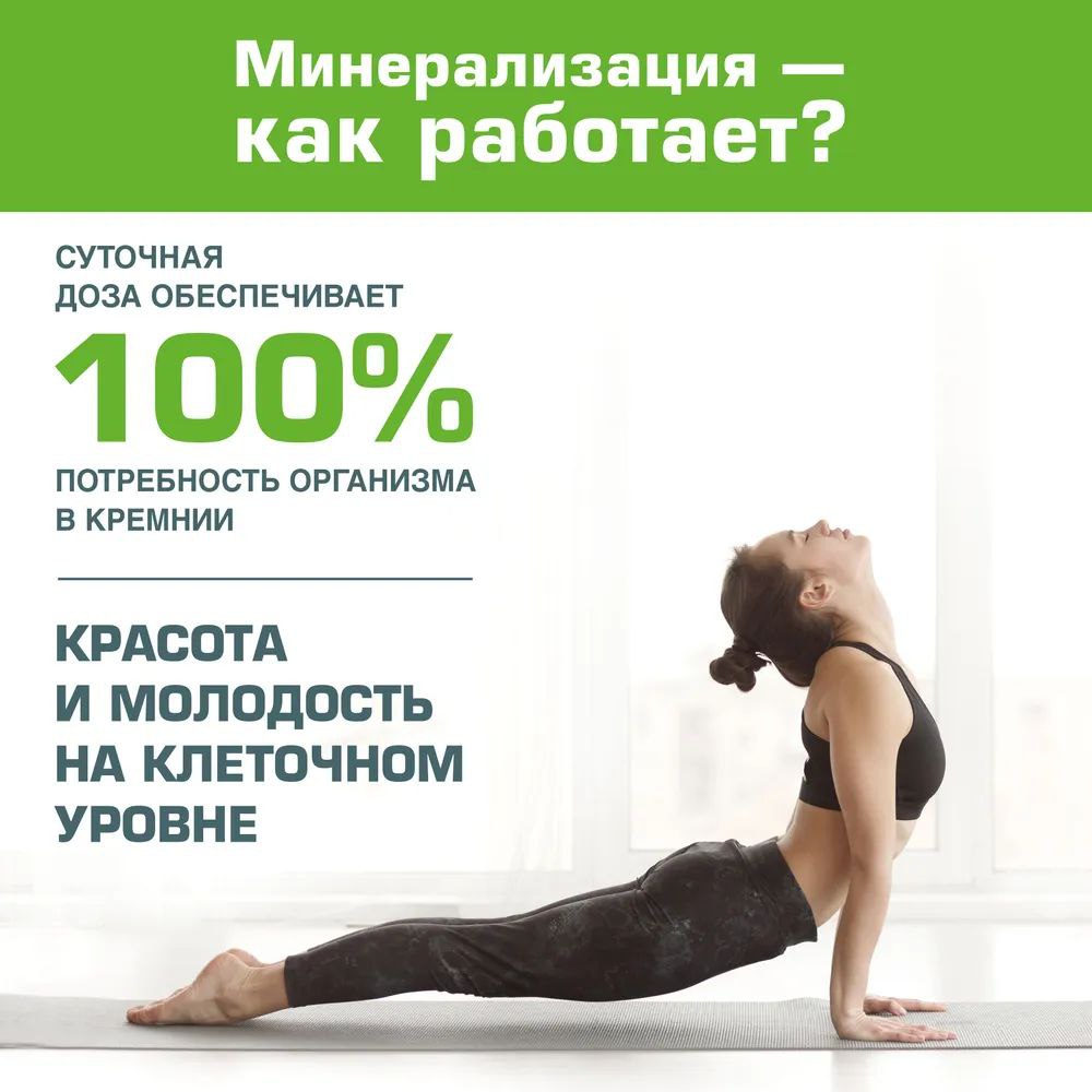 Prodex, BIONORMULA «Диатомит пищевой», порошок, 300 г