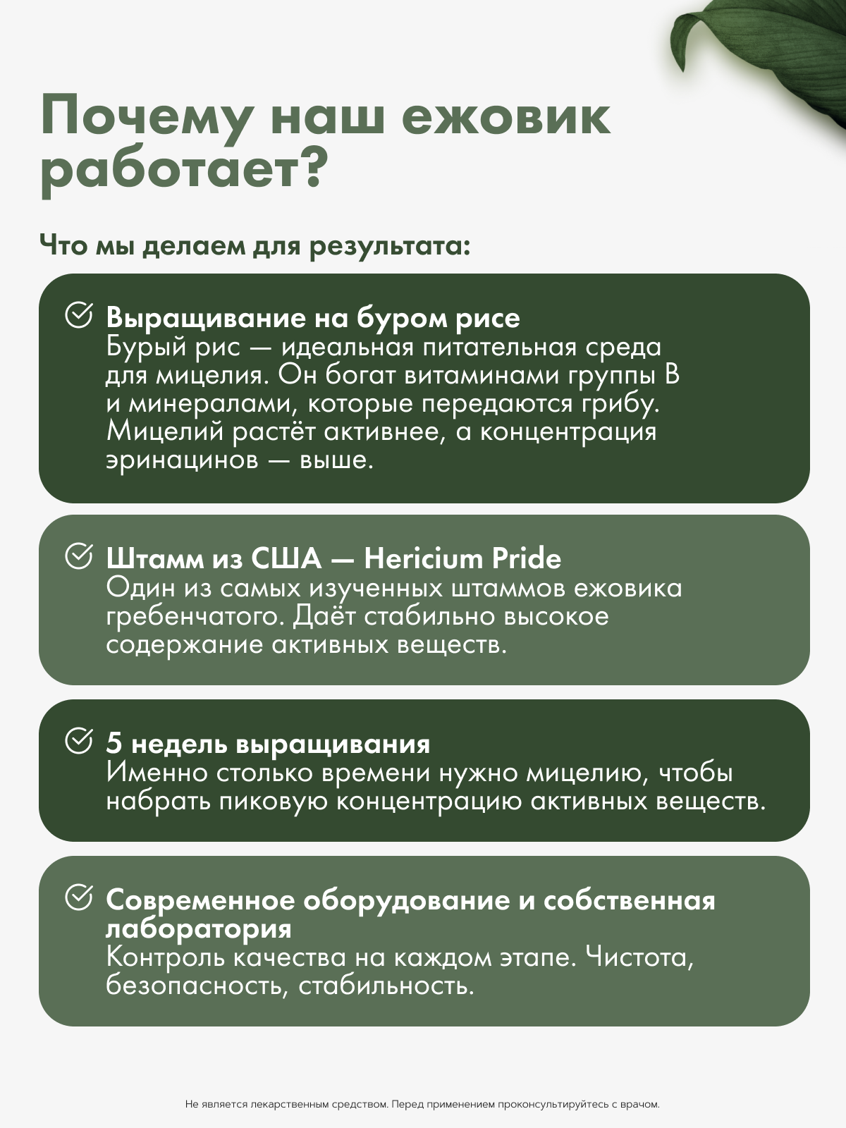 Restartbio, Ежовик гребенчатый, капсулы, 90 шт.