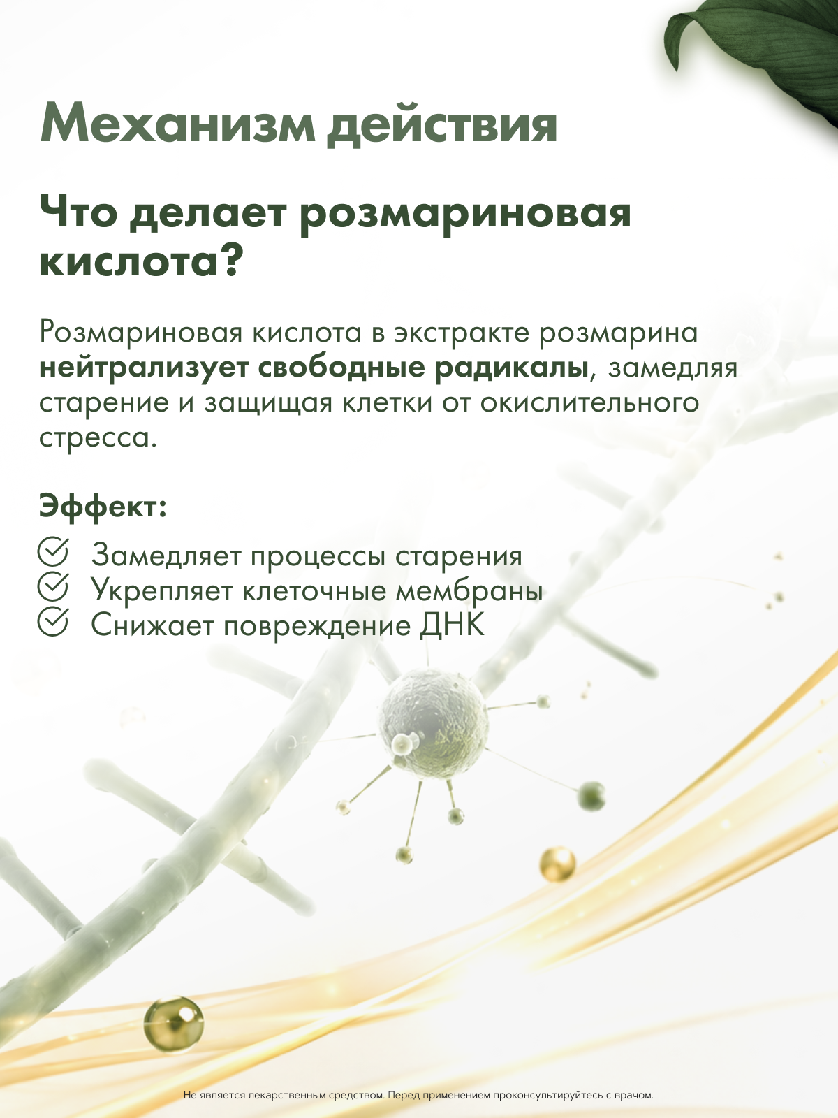 Restartbio, Комплекс с розмариновой кислотой, капсулы, 120 шт.