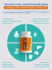 Солагифт, R&I (биокомплекс с полипренолами и клеточным соком пихты), капсулы, 60 шт.