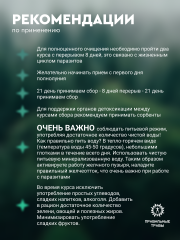 Правильные травы, Сбор «Антипаразитарный», 100 г