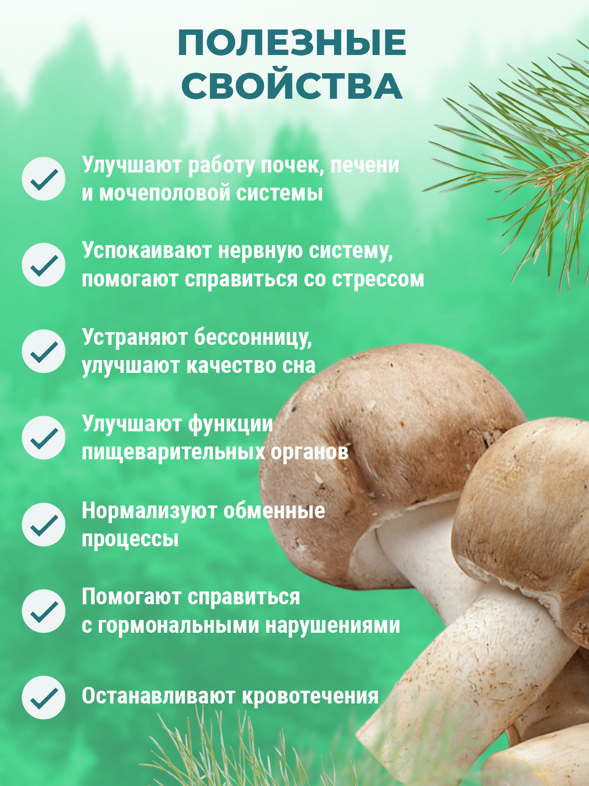 Фунго-Ши, Свечи ректальные «Фунго-Ши Агарик» (для ЖКТ), 10 шт.
