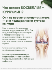 RestartBio, Босвеллия + куркумин, капсулы, 90 шт.