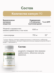 Restartbio, Ежовик гребенчатый, капсулы, 90 шт.