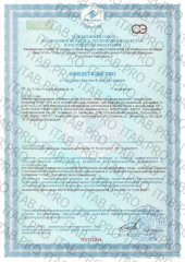 ПЕКТА, Экстракт морского ежа на фруктозе (для поддержания иммунитета), жидкость, 100 мл