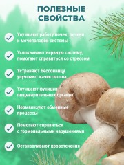 Фунго-Ши, Свечи ректальные «Фунго-Ши Агарик» (для ЖКТ), 10 шт.