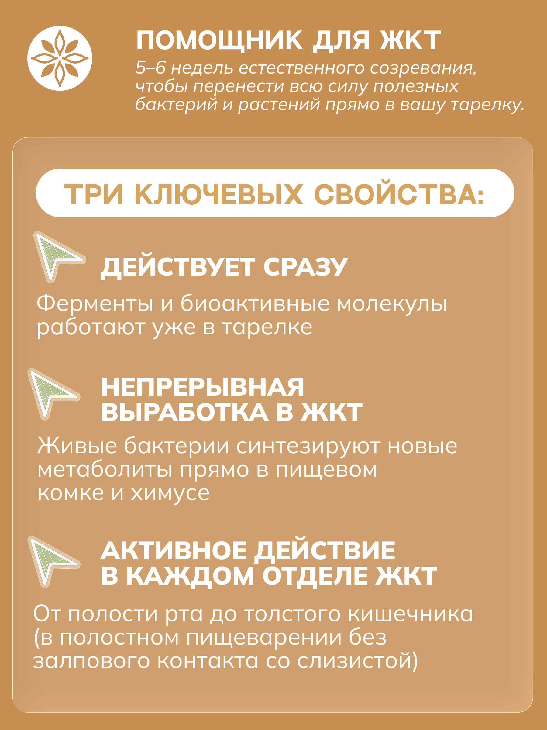 ЗОЭ, Пропиони овсяный 02 (концентрат для пищеварения), 250 мл