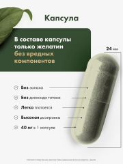 Restartbio, Железо (бисглицинат), капсулы, 120 шт.