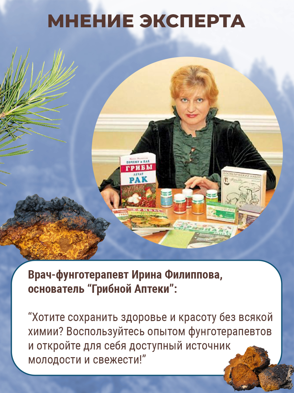Фунго-Ши, Чайный напиток «Фунго-ши Чага» (для укрепления иммунитета), саше, 30 шт.