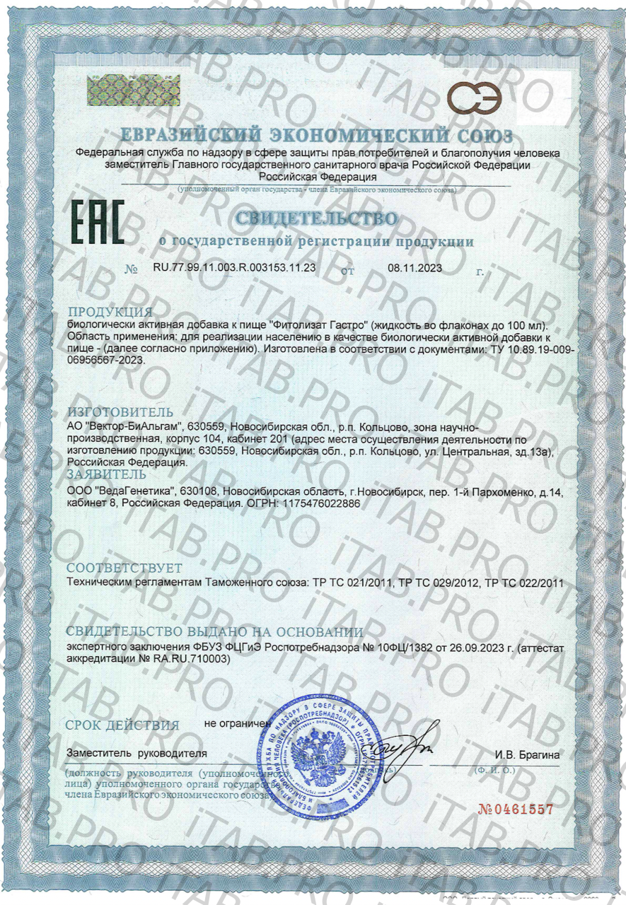 VedaBiotica, Фитолизат Гастро (метабиотик), жидкость, 30 мл