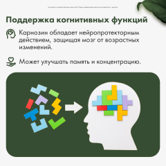 Restartbio, Цинк карнозин, капсулы, 60 шт.