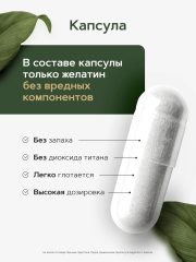 Restartbio, Магний (бисглицинат) + B6 (P-5-P), капсулы, 240 шт.