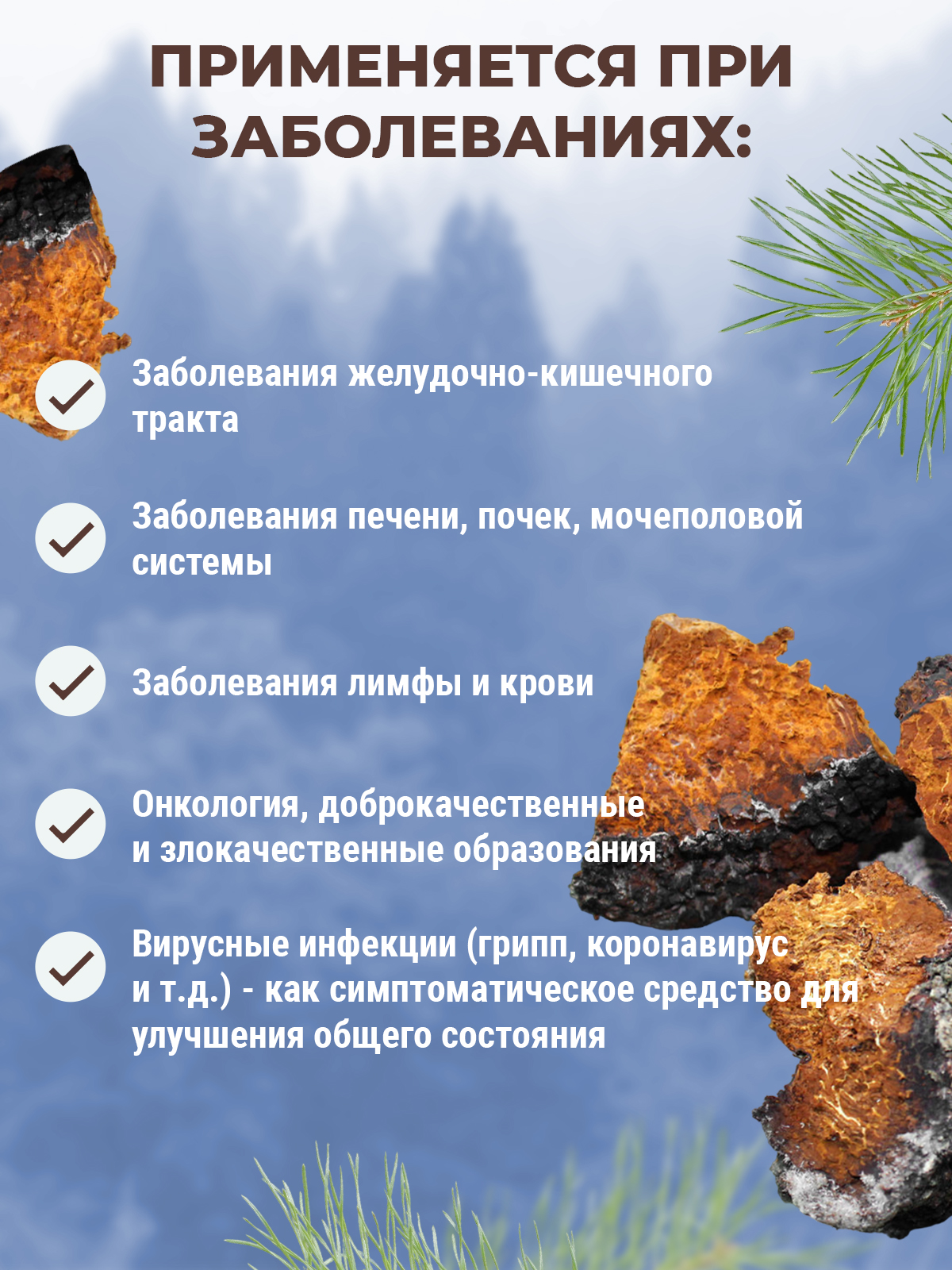 Фунго-Ши, Чайный напиток «Фунго-ши Чага» (для укрепления иммунитета), саше, 30 шт.
