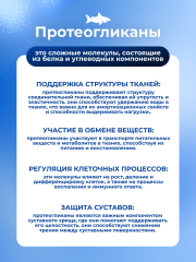 KENKO, Коллаген морской из хрящей акулы (комплекс для укрепления связок и суставов), саше, 30*2 г