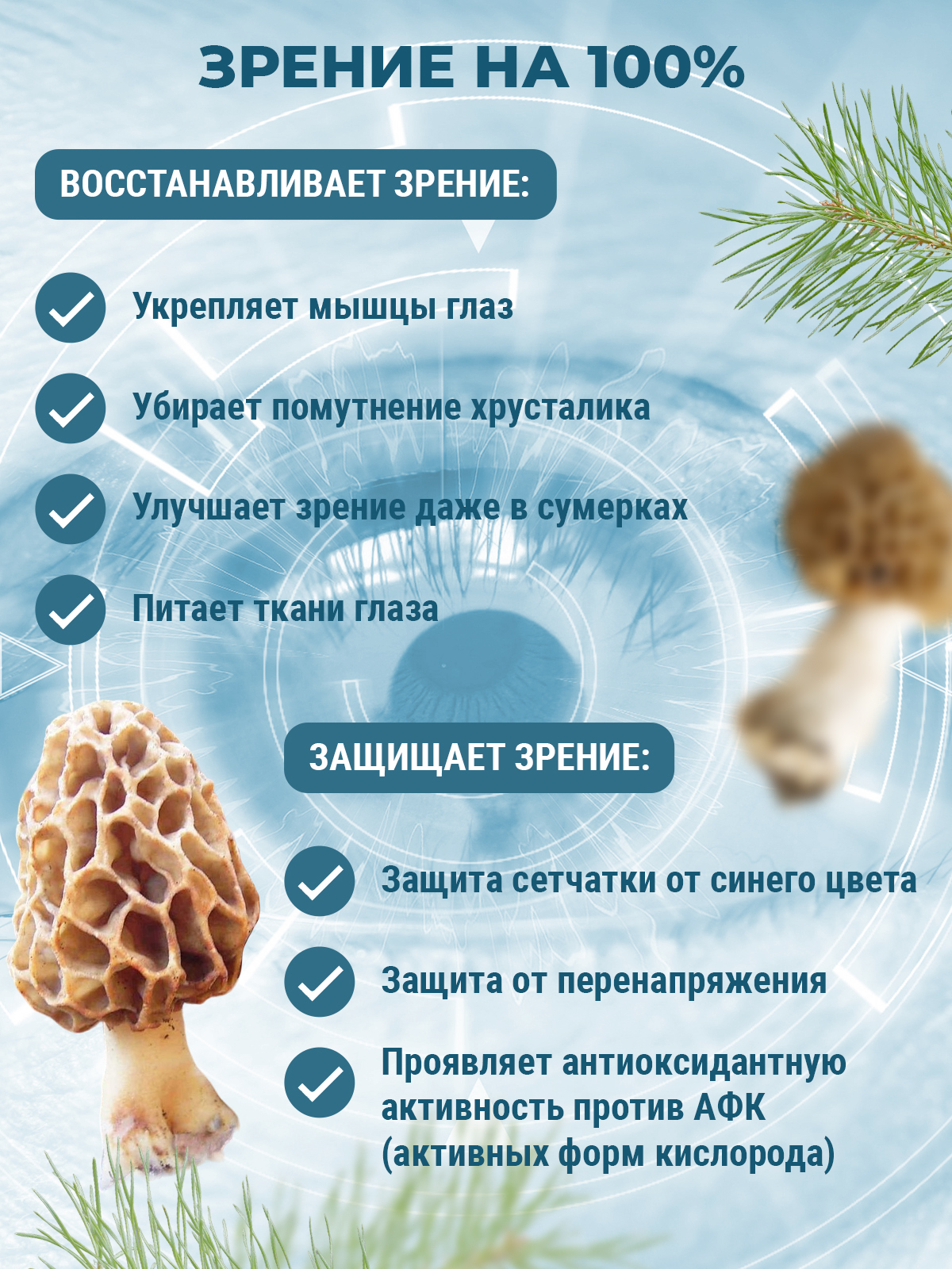 Prodex, Гриб «Сморчок» (для нормализации глазного давления и улучшения зрения), капсулы, 60 шт.