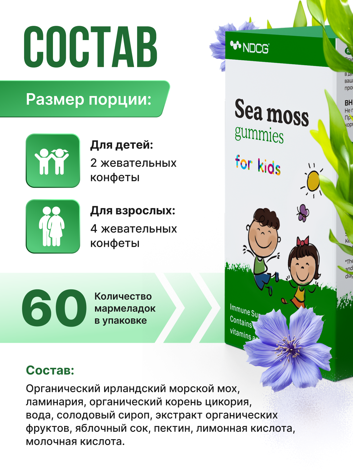 NDCG, Sea Moss for kids (ирландский мох), со вкусом яблока, жевательные конфеты, 60 шт.