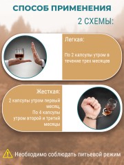Фунго-Ши, Гриб «Копринус» (для борьбы с алкогольной зависимостью), капсулы, 60 шт.