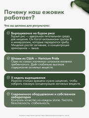 Restartbio, Ежовик гребенчатый, капсулы, 90 шт.