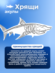 KENKO, Коллаген морской из хрящей акулы (комплекс для укрепления связок и суставов), саше, 30*2 г