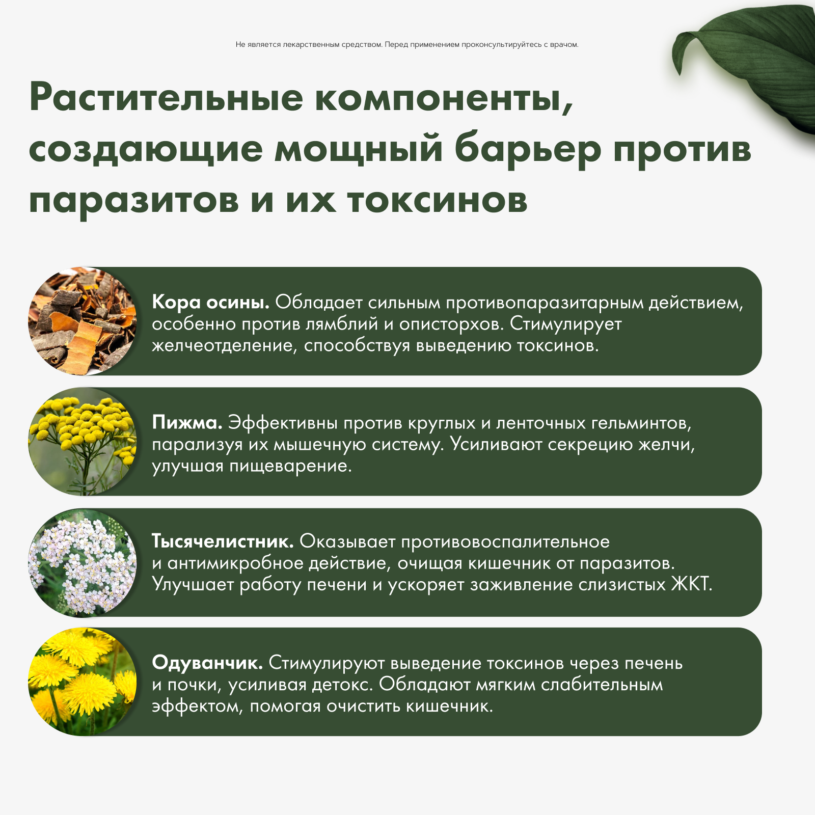 Restartbio, Паразит-Актив 1, капсулы, 60 шт.