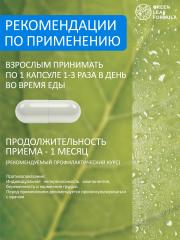 Green Leaf Formula, PROBIOSKIN (комплекс для здоровья кожи и кишечника), капсулы, 60 шт.