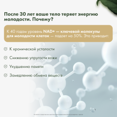 Restartbio, NMN + Q10 (продление молодости), капсулы, 60 шт.