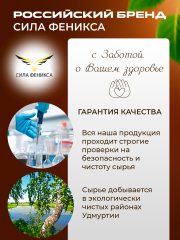 Сила феникса, Чага, капсулы, 90 шт.