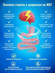 Green Leaf Formula, Метабиотик гастро с солодкой (для желудка), капсулы, 60 шт.