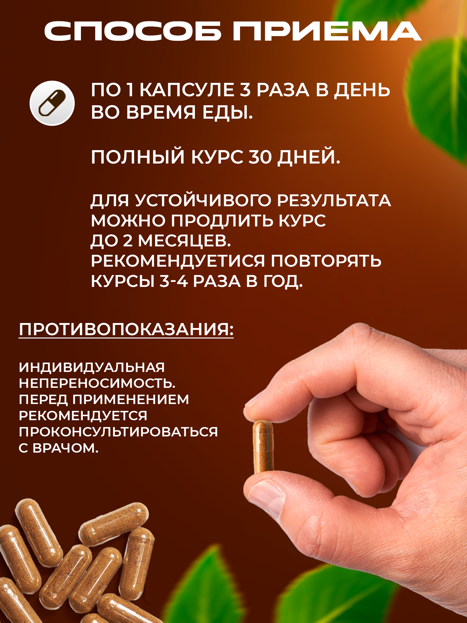 Сила феникса, Чага, капсулы, 90 шт.
