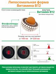 Алтай Простые решения, Липосомальный Витамин B12 (метилкобаламин), капсулы, 60 шт.