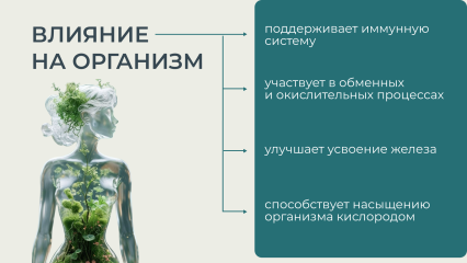 СокиСибири, Концентрат клеточного сока пихты сибирской, жидкость, 30 мл