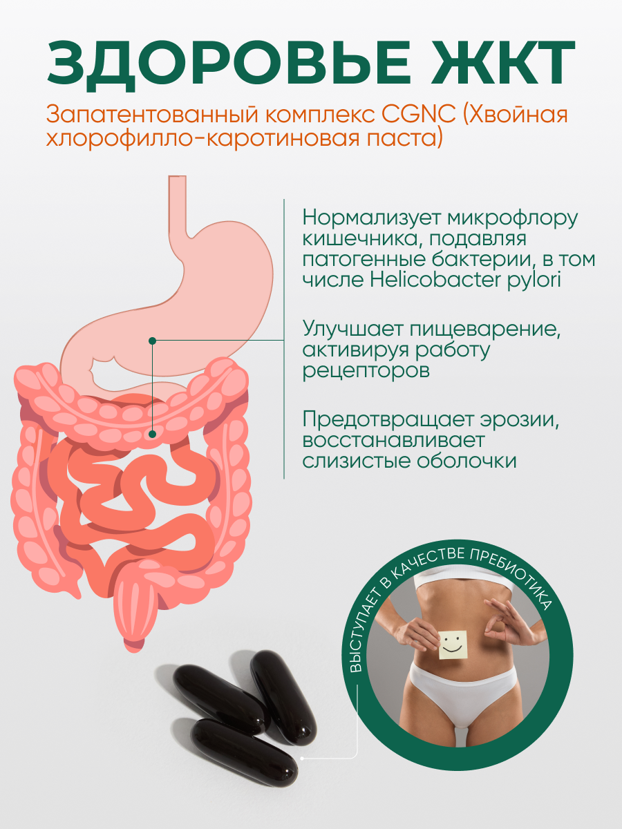 Солагифт, Bioeffectives A320 (для укрепления иммунитета и профилактики заболеваний системы пищеварения), капсулы, 60 шт.