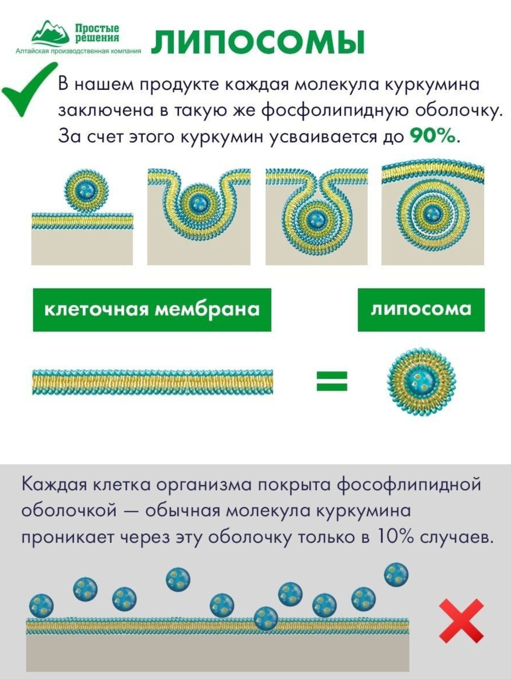 Простые решения, Липосомальный куркумин и силимарин для печени, капсулы, 60 шт.